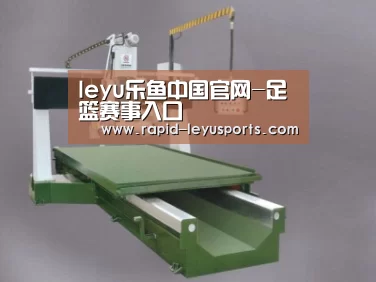 产品名称九