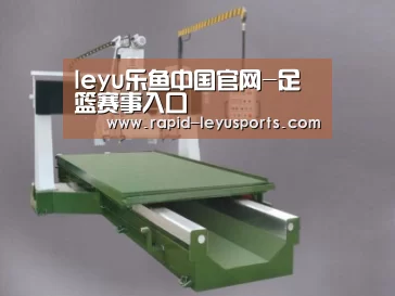 产品名称十