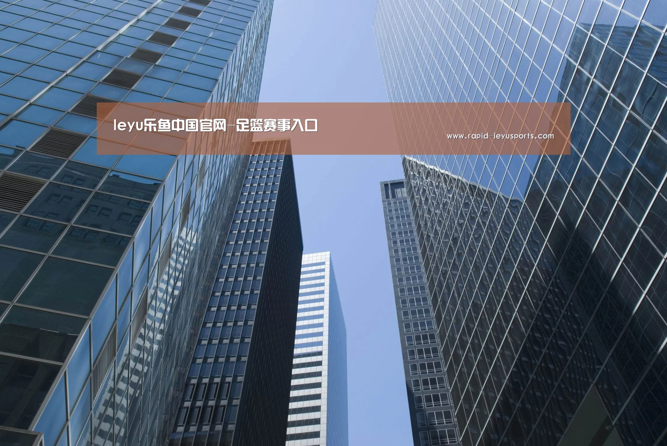 乐鱼电竞官网公司简介 