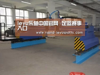 产品名称十八