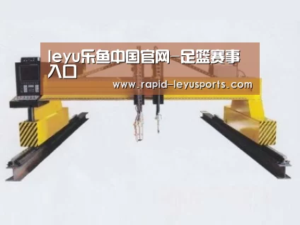 产品名称十九