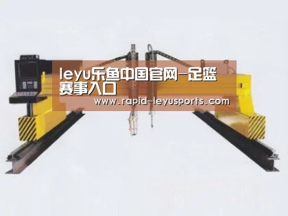 产品名称十七