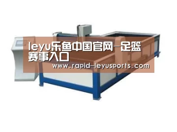 产品名称九