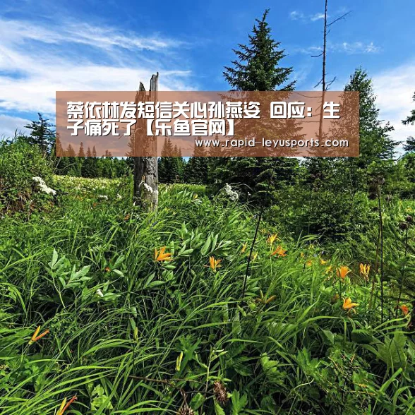蔡依林发短信关心孙燕姿 回应:生子痛死了【乐鱼官网】(图1) 乐鱼电竞官网
