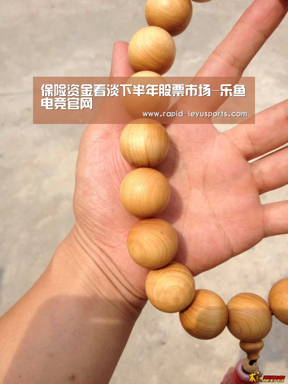 乐鱼电竞官网
