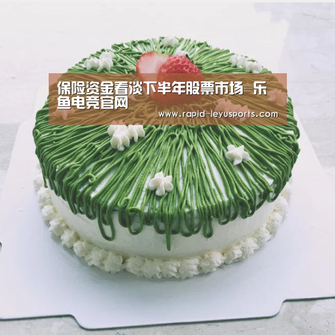 保险资金看淡下半年股票市场-乐鱼电竞官网(图4)
