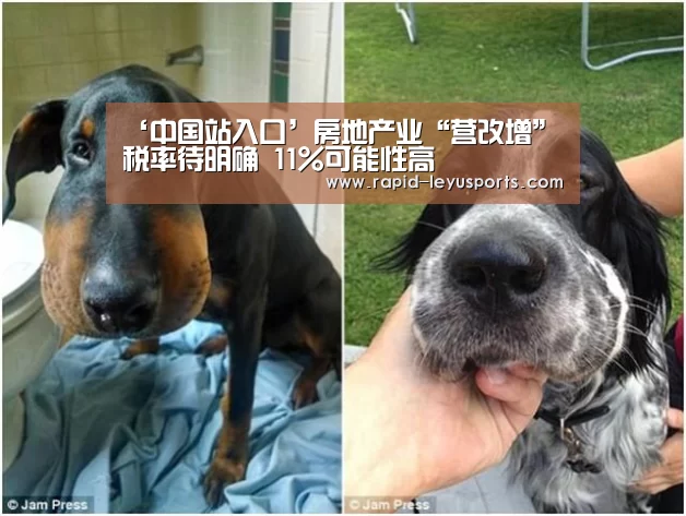 ‘中国站入口’房地产业“营改增”税率待明确 11%可能性高(图1) 中国站入口