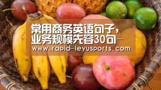 常用商务英语句子,业务规模先容30句-乐鱼电竞官网(图3) 常用商务英语句子,业务规模先容30句-乐鱼电竞官网(图3)