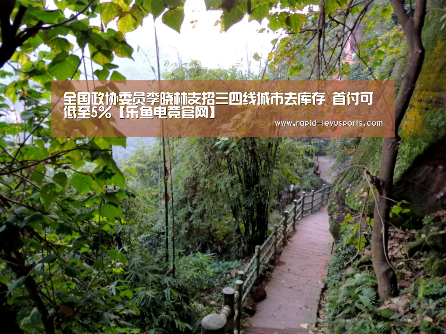 全国政协委员李晓林支招三四线城市去库存 首付可低至5%【乐鱼电竞官网】(图1) 中国站入口