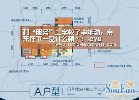 和“服务”二字较了半年劲,京东在下一盘什么棋?:leyu(图1) 乐鱼电竞官网