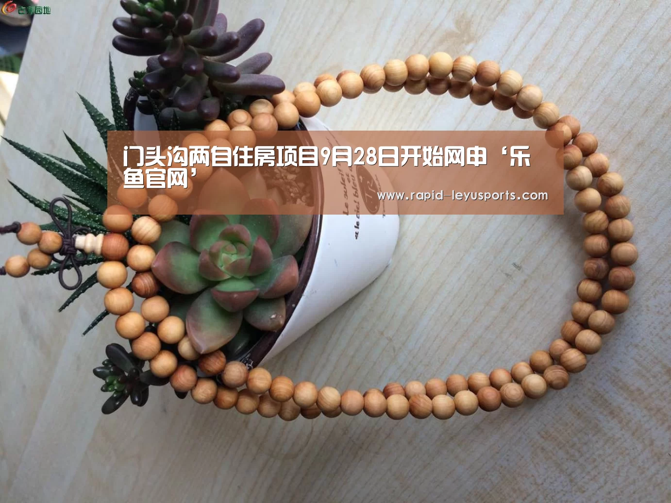 中国站入口